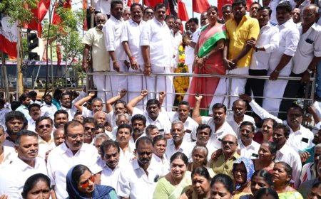 அண்ணாவின்117-வது பிறந்தநாளை முன்னிட்டு திருச்சியில் உள்ள அவரது சிலைக்கு மாநகர் மாவட்ட அதி.மு.க. செயலாளர் சீனிவாசன் தலைமையில் மாலை அணிவித்து மரியாதை