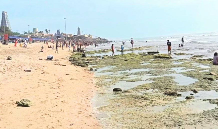 திருச்செந்தூரில் திடீரென உள்வாங்கிய கடல்