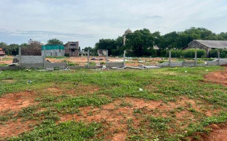திருச்சி கே.கே நகர் அருகே 18 பேருக்கு சொந்தமான 15 கோடி மதிப்பிலான இரண்டரை ஏக்கர் நிலம் : ஆவணங்கள் அனைத்தும் இருந்தும் நிலத்தை அபகரிக்க முயல்பர்கள் மீது நடவடிக்கை எடுக்க மாவட்ட ஆட்சியரிடம் மனு