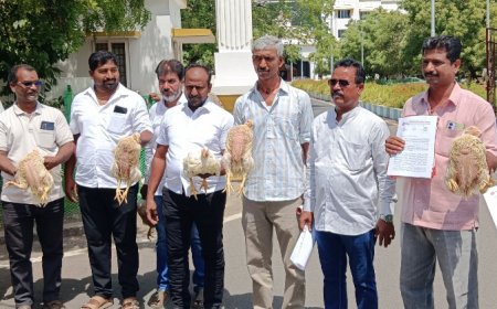 கோரிக்கை ஏற்காவிட்டால் காலவரையற்ற விற்பனை நிறுத்தம் :  மலைக்கோட்டை கறிக்கோழி மொத்த வியாபாரிகள் அறிவிப்பு