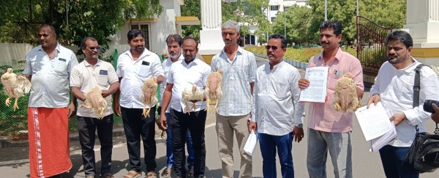 கோரிக்கை ஏற்காவிட்டால் காலவரையற்ற விற்பனை நிறுத்தம் :  மலைக்கோட்டை கறிக்கோழி மொத்த வியாபாரிகள் அறிவிப்பு